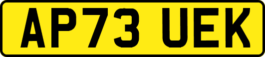 AP73UEK