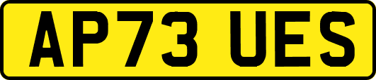AP73UES