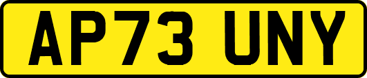 AP73UNY