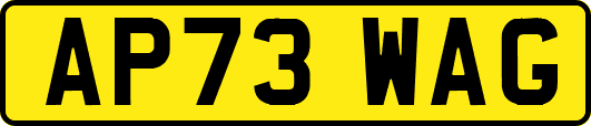 AP73WAG