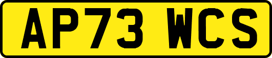 AP73WCS