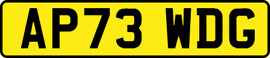 AP73WDG
