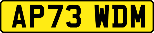 AP73WDM