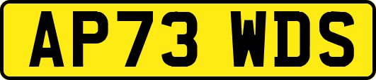 AP73WDS