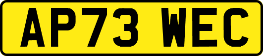 AP73WEC