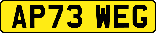 AP73WEG