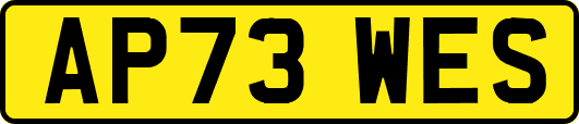 AP73WES