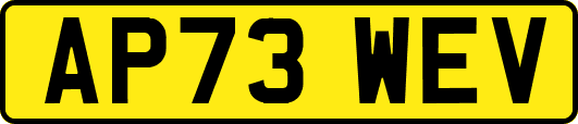 AP73WEV