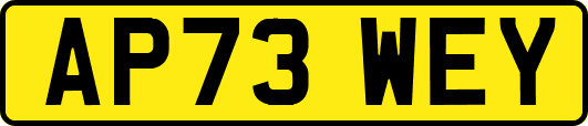 AP73WEY