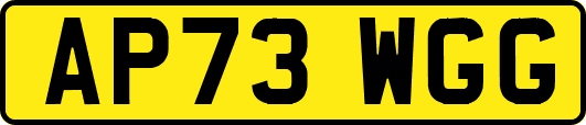 AP73WGG