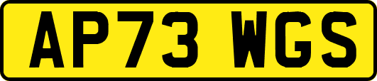 AP73WGS