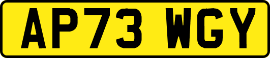 AP73WGY