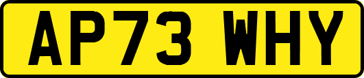 AP73WHY