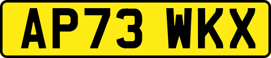 AP73WKX