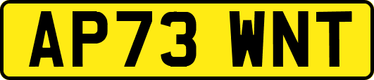 AP73WNT