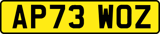AP73WOZ