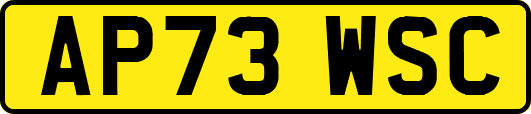 AP73WSC