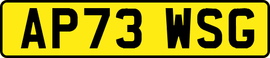 AP73WSG