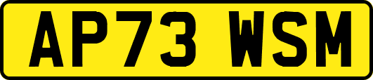 AP73WSM