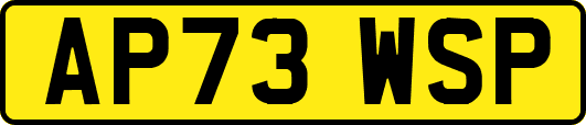 AP73WSP