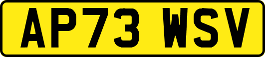 AP73WSV