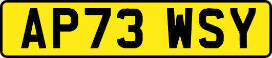 AP73WSY