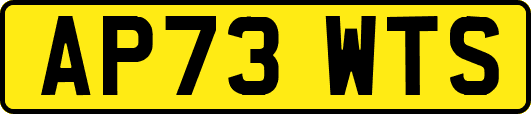 AP73WTS