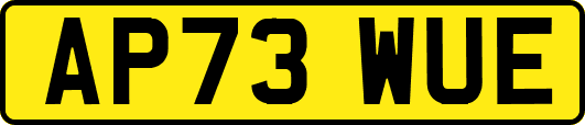 AP73WUE