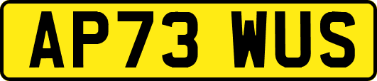 AP73WUS