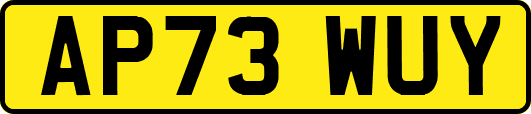 AP73WUY
