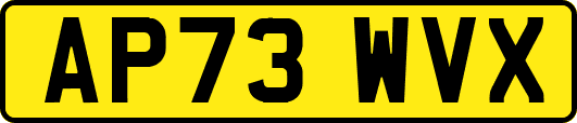 AP73WVX