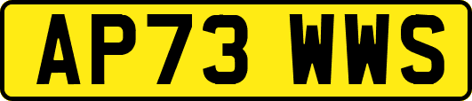 AP73WWS