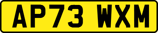 AP73WXM