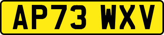 AP73WXV