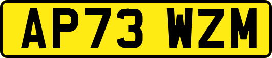 AP73WZM