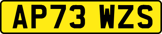 AP73WZS