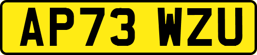 AP73WZU