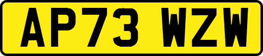 AP73WZW