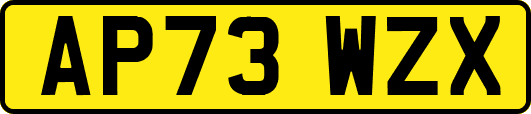 AP73WZX