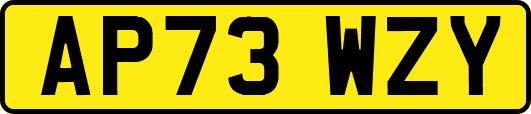 AP73WZY