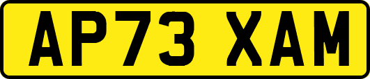 AP73XAM