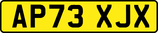 AP73XJX
