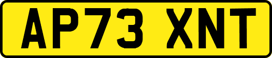 AP73XNT