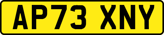 AP73XNY