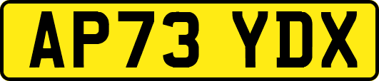 AP73YDX