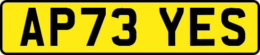 AP73YES
