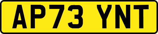 AP73YNT