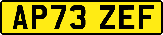 AP73ZEF