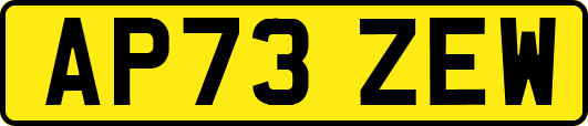 AP73ZEW