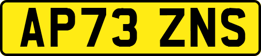 AP73ZNS